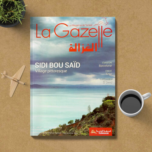 la gazelle sidi bou said